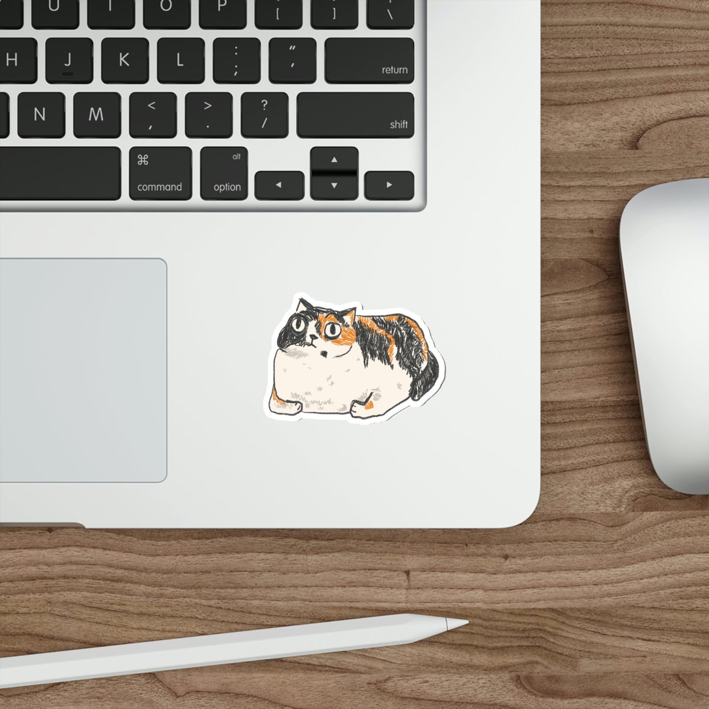 Chubby Cat Sticker