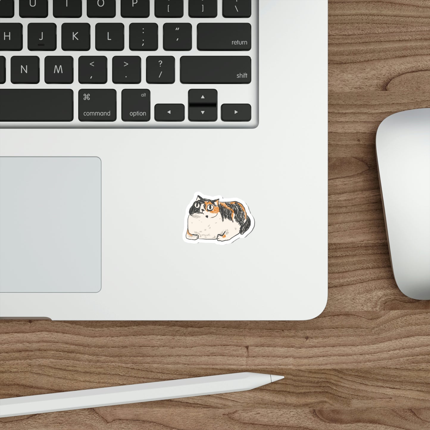 Chubby Cat Sticker