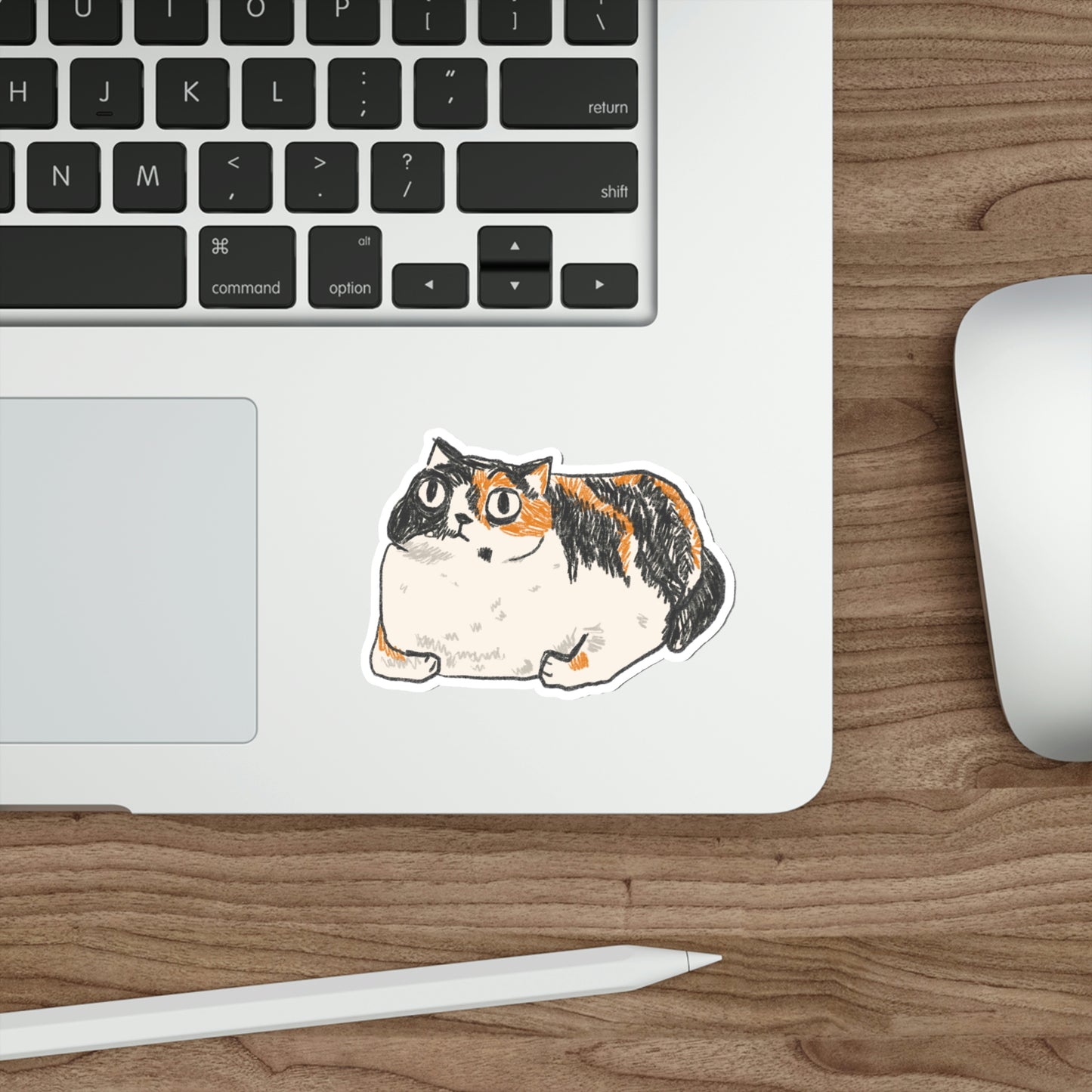 Chubby Cat Sticker